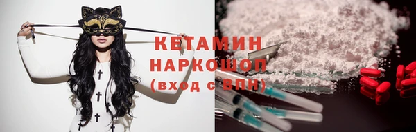 крисы Баксан
