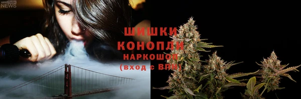крисы Баксан