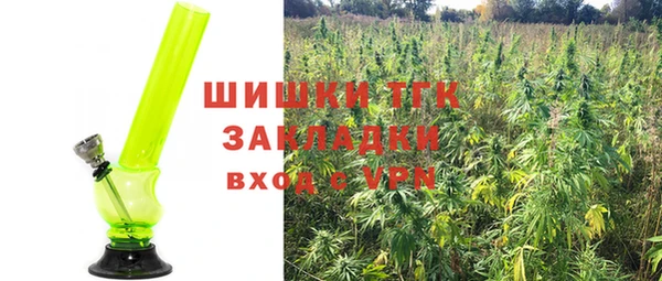 крисы Баксан