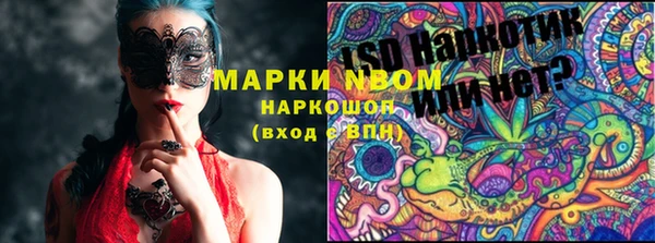 крисы Баксан