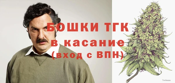 крисы Баксан