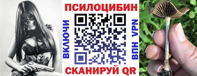 Галлюциногенные грибы Psilocybe  Беслан 